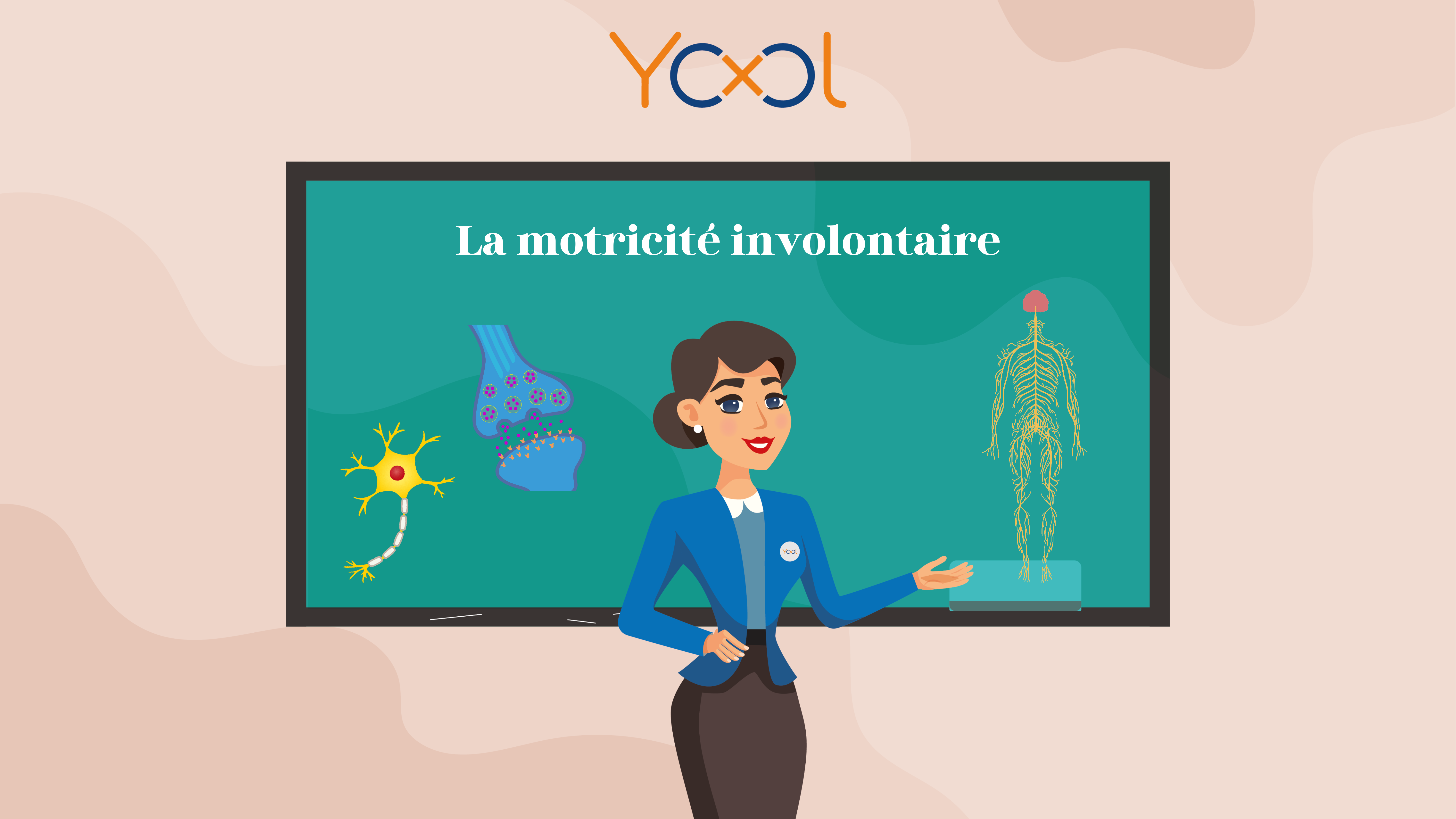 Chapitre 7 : Le système nerveux - La motricité involontaire