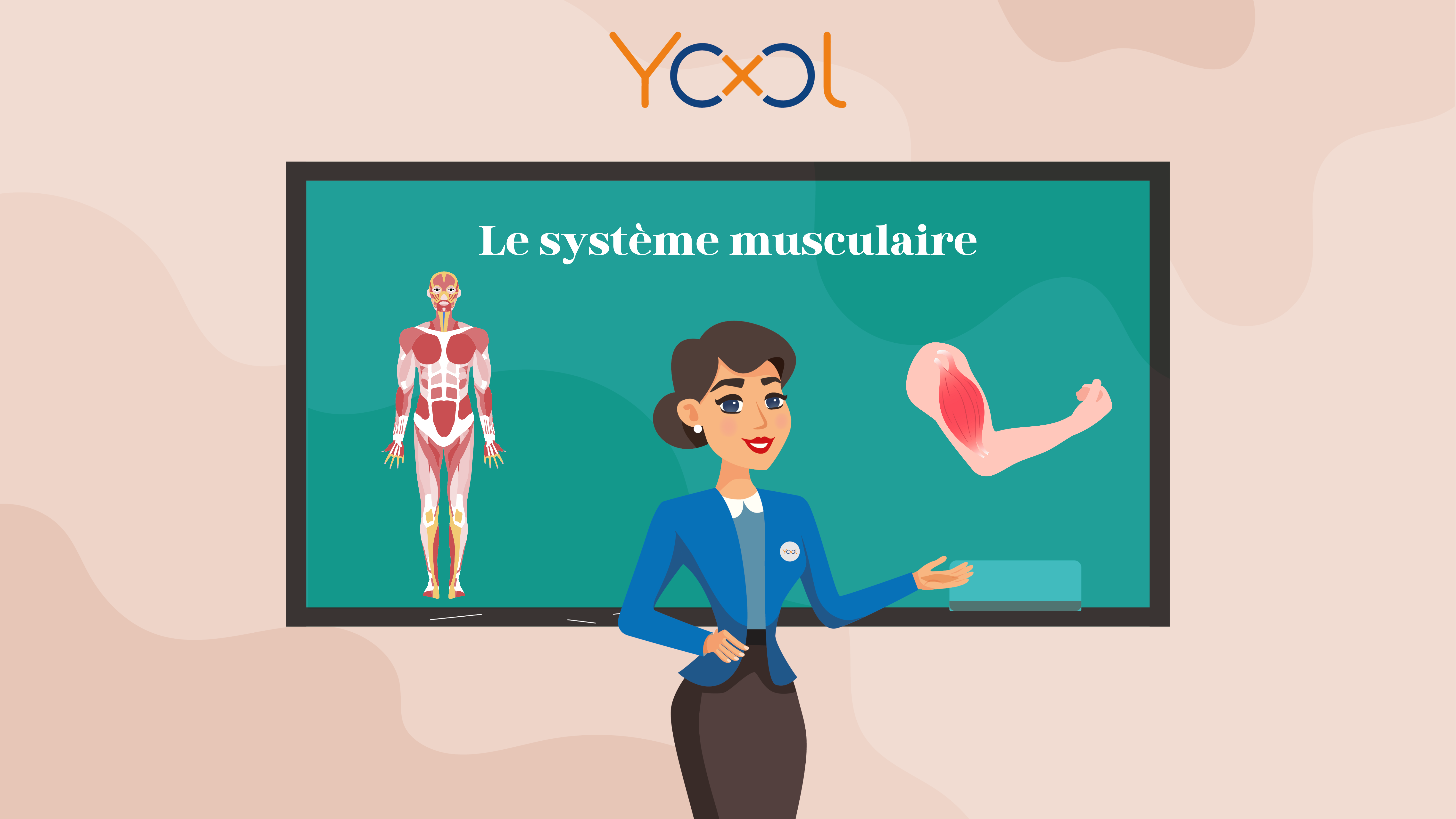 Chapitre 7 : Le système musculaire " la jonction neuromusculaire et protection de système musculaire"