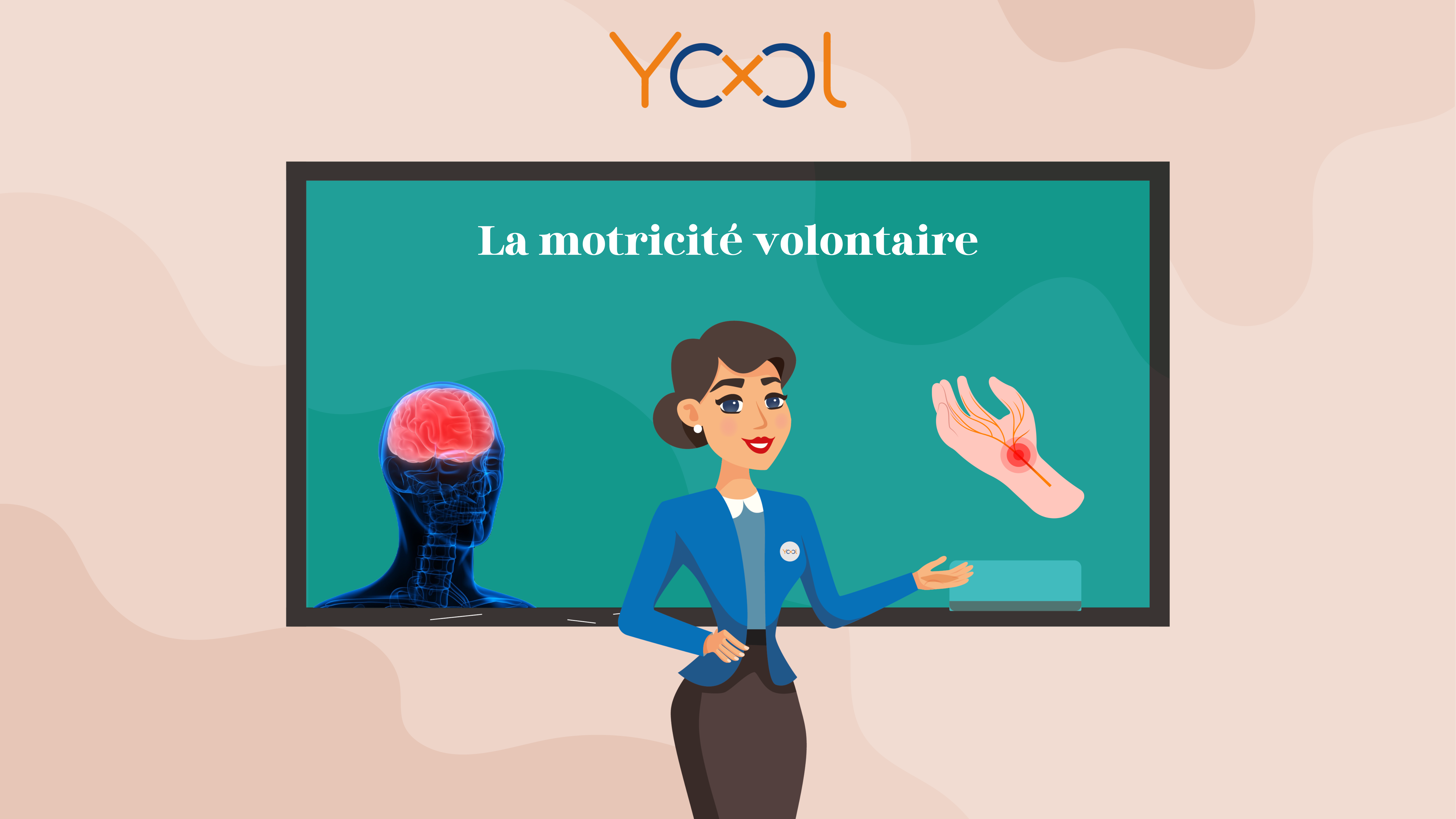 Chapitre 6 : Le système nerveux " La motricité volontaire"