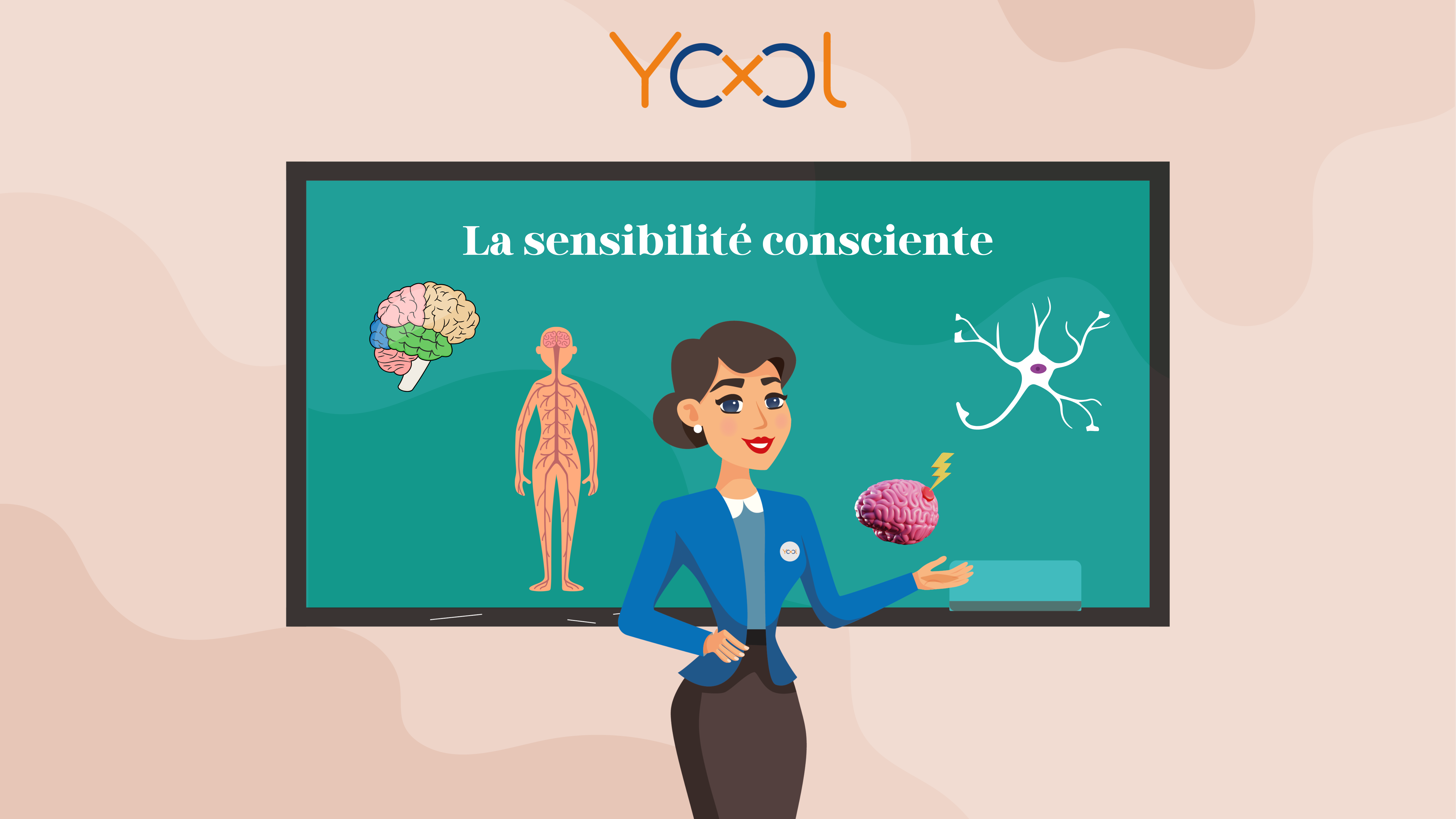 Chapitre 7 : Le système nerveux - La sensibilité consciente