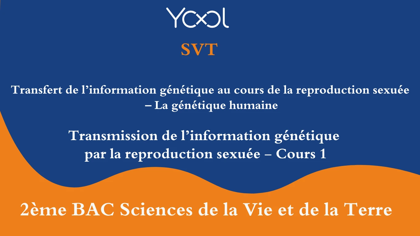 Transmission de l’information génétique par la reproduction sexuée - Cours 1