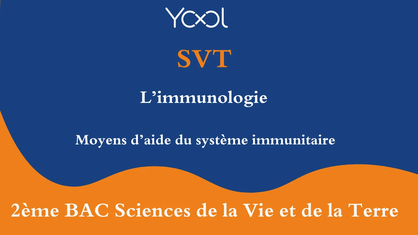 Moyens d’aide du système immunitaire